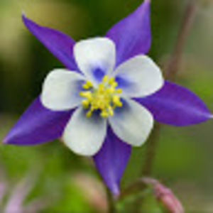 Meet your Posher, Brett